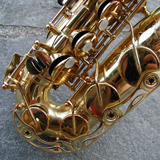 Alto Sax - Ethnic Instrument