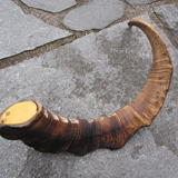 Bass Pivana - Ethnic Instrument